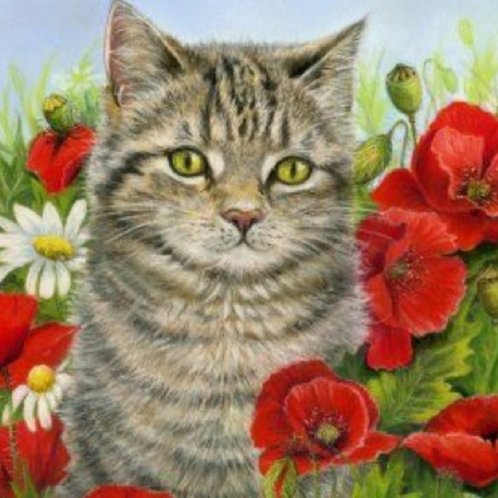 Meet your Posher, Alina